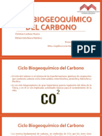 Ciclo Biogeoquímico Del Carbono