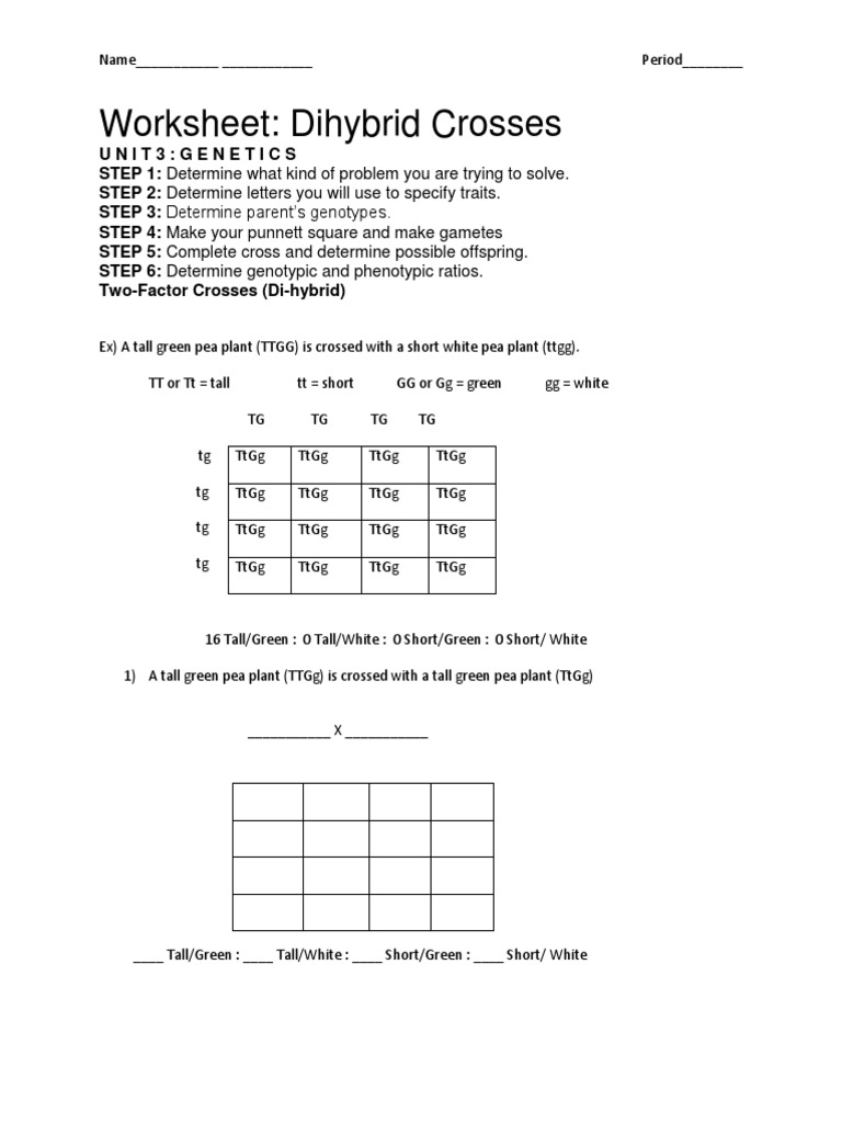 worksheet Monohybrid Cross Worksheet worksheet dihybrid crosses grass fedjp study site cross ws zygosity dominance genetics