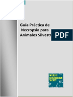 Guia pra-ctica de necropsia para animales silvestres.pdf