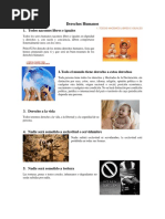 20 Derechos Humanos