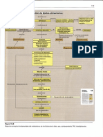 Páginas DesdeBioquimica - Richard A. Harvey