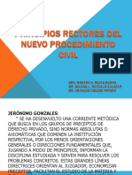 1.- PRINCIPIOS RECTORES DEL NUEVO PROCEDIMIENTO CIVIL.pptx