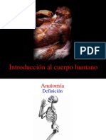 Introducción Al Cuerpo Humano