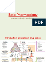 Basic Pharmacology Guide