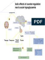 Principal Metabolic Effects of Counter-Regulation in Response To Acute Hypoglycaemia