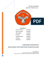 Chromatographic Methods For Protein Purification