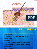 Clase de Piel Prof. Francisco Mosqueda