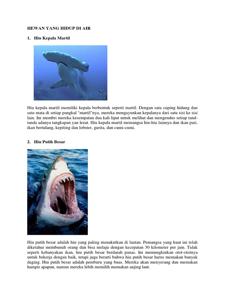 62 Gambar Hewan Yang Hidup Di Darat Dan Ciri Cirinya HD Terbaru