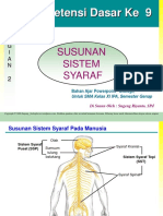 Presentasi Sistem Syaraf 2