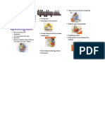 Leaflet Diabetes Mellitus Edit