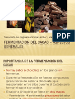 19 Fermentacion Del Cacao PDF
