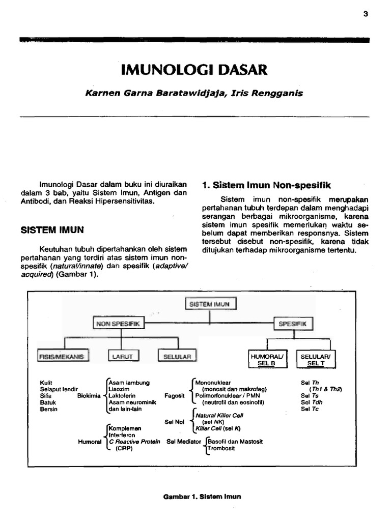 1 Imunologi Dasar Pdf Pdf