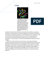 Chromosome Map PDF