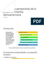 Concepto y Perspectivas de La Pequeña Empresa Latinoamericana