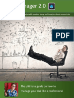 Risk Manager 2.0 PDF