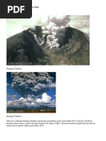 Download Artikel Tentang Beberapa Gunung Meletus by Kiki Anrizki SN360369277 doc pdf