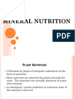 Mineral Nutrition