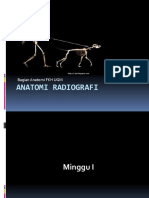 Anatomi Radiografi