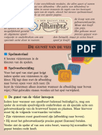 Alhambra Bordspel - Spelregels NL 1 de Gunst Van de Vizier Versie 1