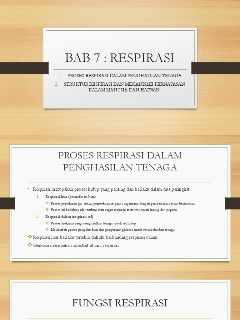 Bab 7 Respirasi Pdf
