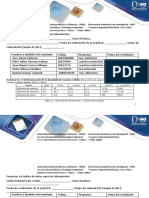Formatos de Tablas para Los Laboratorios (100413-360)