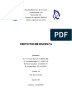 Proyectos de Inversión PDF