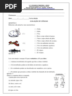 prova de ciencia 2.docx