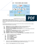 Shore Chains and Web