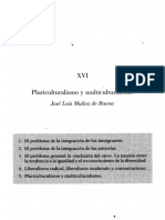 Pluriculturalismo y Multiculturalismo PDF