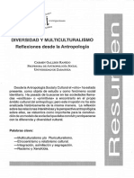 Dialnet-DiversidadYMulticulturalismo-170179.pdf