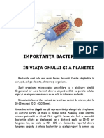 Importanta Bacteriilor