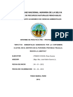 Impactos Ambientales Generados Por La Curtiembre D-Leyse, en El Distrito de El Porvenir, Provincia Trujillo, Region La Libertad PDF