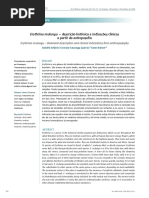 36 4 Erythrina Mulungu1