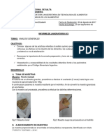 INFORME LABORATORIO N°2 Alimentos