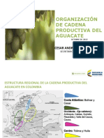 AGUACATE Presentación de PowerPoint