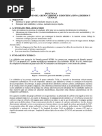 PRACTICA 4-Identificacion de Compuestos Carbonilicos