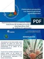 Experiencias Procesamiento Industrial Racimos Frutafrescaaltooleico