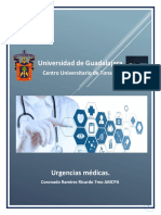 1.3.urgencias Médicas (Presentable) .