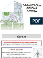Organizacija Humanog Genoma