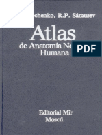 Anatomía Humana