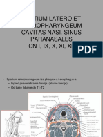 Spatium Latero Et Parapharyngeum