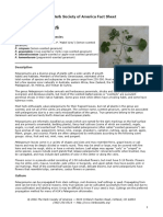 Pelargoniums Fact PDF
