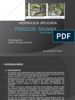 Proyecto Shumba - Presentacion
