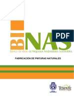 PinNat PDF