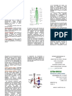 Tripticosistemanervioso 120915170434 Phpapp02