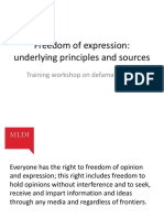 Session 1-Freedom of Speech
