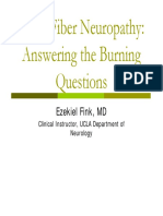 Fink Small Fiber Neuropathy PDF
