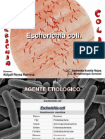 Escherichia Coli I PDF