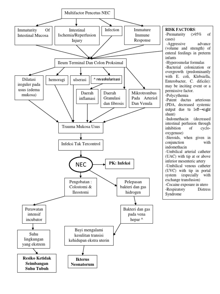 Nec | PDF | Gastroenterology | Health Sciences