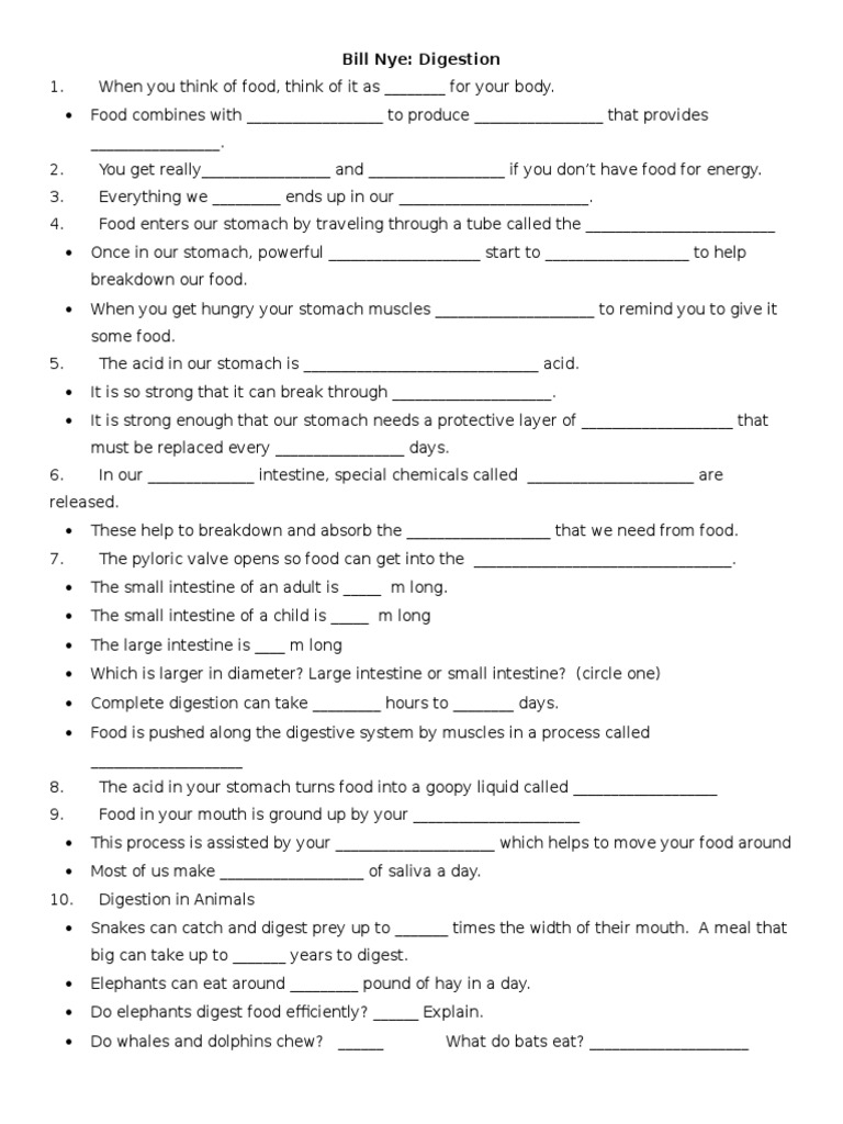 Bill Nye Digestion  Digestion  Stomach With Regard To Bill Nye Respiration Worksheet